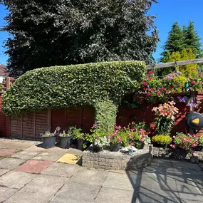 Bild von Dy55on Garden Maintenance Ltd