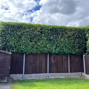 Bild von Dy55on Garden Maintenance Ltd