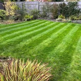 Bild von Dy55on Garden Maintenance Ltd