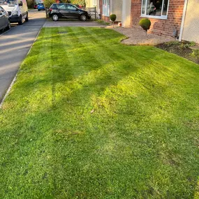 Bild von Dy55on Garden Maintenance Ltd