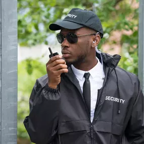 Bild von Jaguar Security Inc
