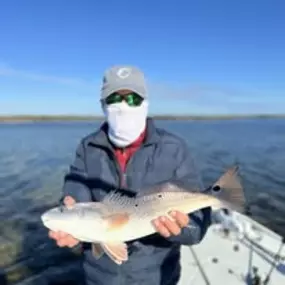 Bild von Capt Bach Charters