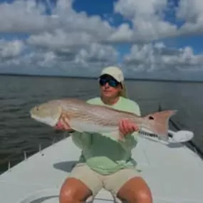 Bild von Capt Bach Charters
