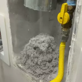 Bild von In & Out Dryer Vent Cleaning