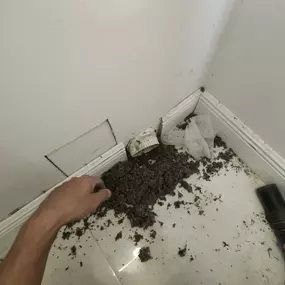 Bild von In & Out Dryer Vent Cleaning