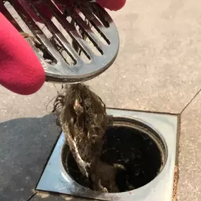 Bild von Twin Eagles Plumbing and Water Cleanup