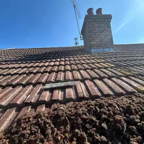 Bild von Glorious Gutters & Exterior Cleaning