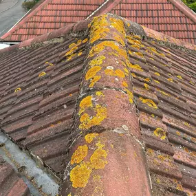 Bild von Glorious Gutters & Exterior Cleaning