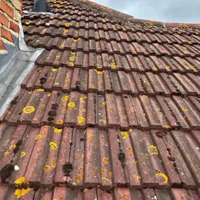Bild von Glorious Gutters & Exterior Cleaning