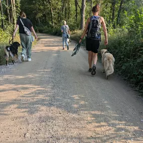 Bild von natural.dogs.