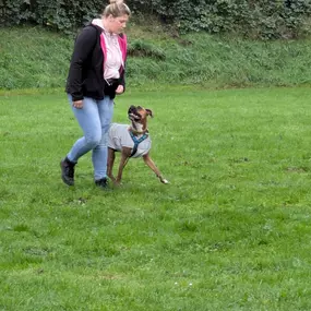 Bild von natural.dogs.