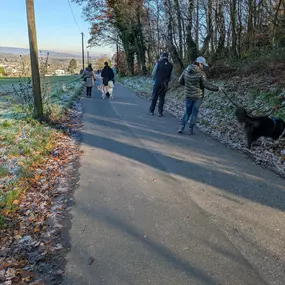 Bild von natural.dogs.