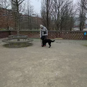Bild von natural.dogs.