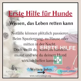 Bild von natural.dogs.