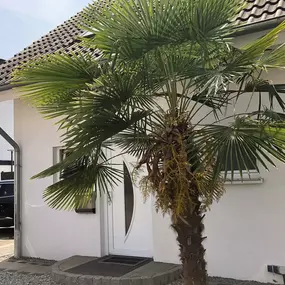 Bild von Lau Immobilien