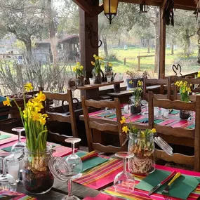 Bild von RANCH DU PUITS DE RIQUIER : gîte d'étape cabanes tipis Var Verdon Relais équestre éco-lieu