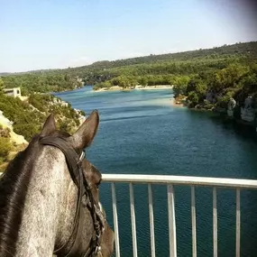 Bild von RANCH DU PUITS DE RIQUIER : gîte d'étape cabanes tipis Var Verdon Relais équestre éco-lieu