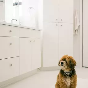 Bild von TDS Design Build