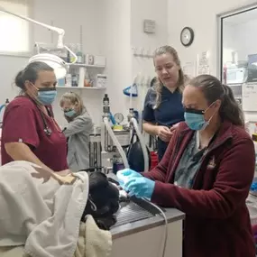 Bild von Quakertown Veterinary Clinic