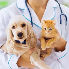 Bild von Quakertown Veterinary Clinic