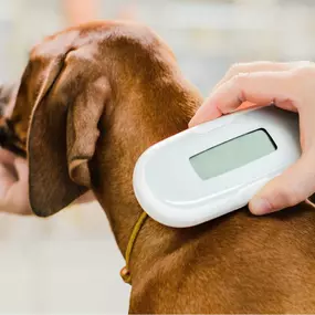 Bild von Quakertown Veterinary Clinic