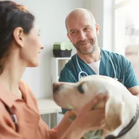Bild von Quakertown Veterinary Clinic