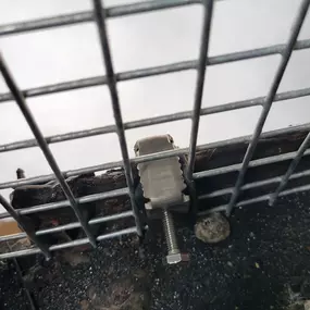 Bild von Bird Guard UK Ltd