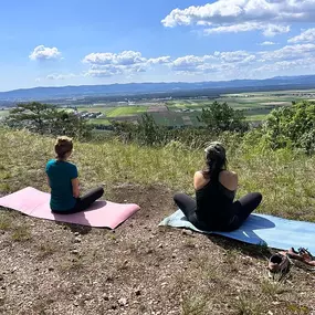 FreeFlowing Kinesiologie und Resilienztraining