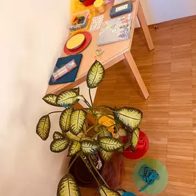FreeFlowing Kinesiologie und Resilienztraining