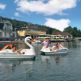 Bild von Seehotel Steiner