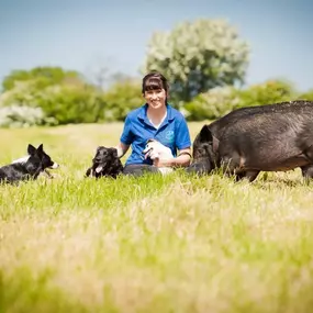 Bild von Tullyrusk Pet Services