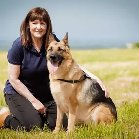 Bild von Tullyrusk Pet Services