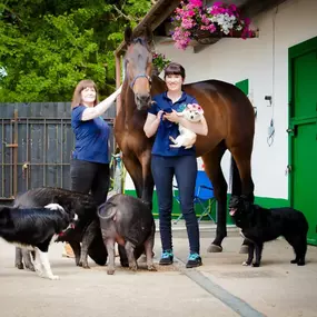 Bild von Tullyrusk Pet Services