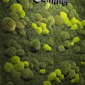 Bild von Dammer Bad und Heiztechnik GmbH