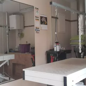 Bild von Schröters Hundestube