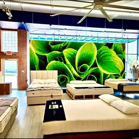 Bild von Houston Natural Mattress