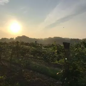 Bild von Hidden Valley Orchards