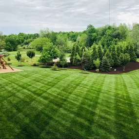 Bild von North Eastern Tree , Shrub and Lawn care