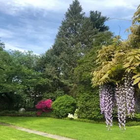 Bild von North Eastern Tree , Shrub and Lawn care