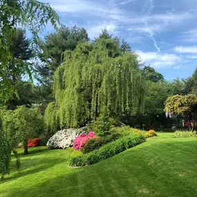 Bild von North Eastern Tree , Shrub and Lawn care