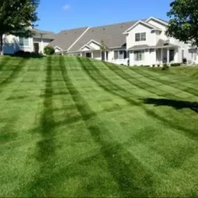 Bild von North Eastern Tree , Shrub and Lawn care