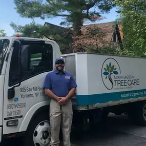 Bild von North Eastern Tree , Shrub and Lawn care