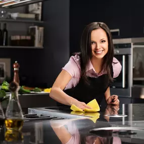 Route 9 Cleaning Lady cleaning the kitchen