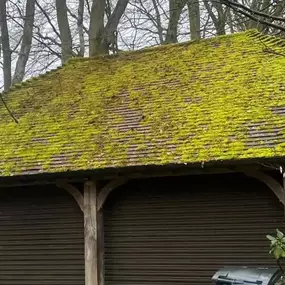 Bild von Moss Master Ltd