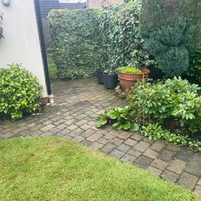 Bild von Moss Master Ltd
