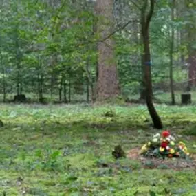 Anonyme Bestattungen