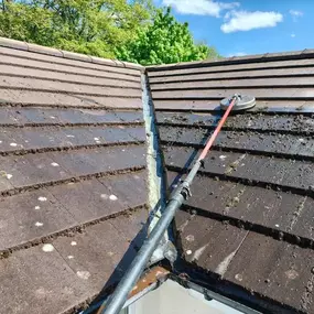 Bild von Terry's Exterior Cleaning Services