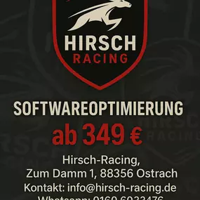 Bild von Hirsch-Racing