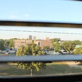 A view of a building through a window with trees in the foreground.