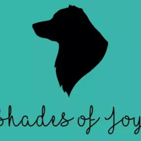 Bild von Shades of Joy - Aussies und Minis